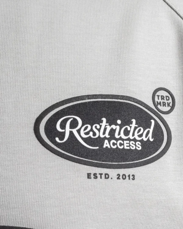 Camiseta Polo Oversize Pleasure Grey